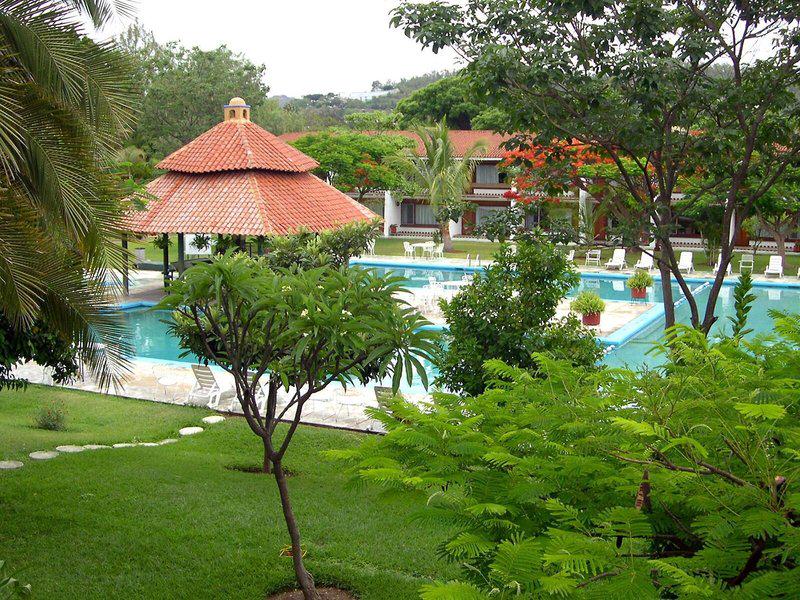 37BBA917478F7F29A505420D34BE4314