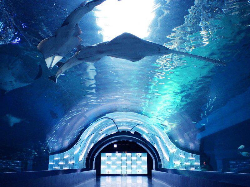 ADD25725170AAC30E1A17F6077DAAEB5