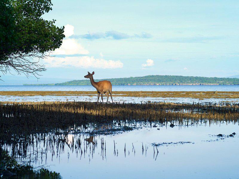 13FE0E3E6F54BDF15C4C3B03B7E9C578