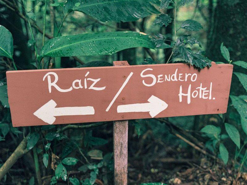 F372E829409749E0201CB9606D2319FF