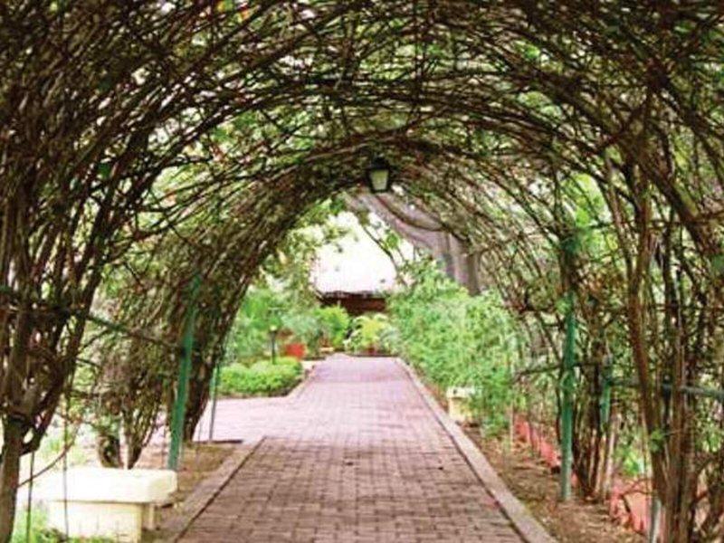 80E1393DF18E850D7A44769392F13BF6