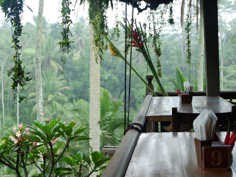 D16EC2FC08971547C4F28505B5E1BD0E