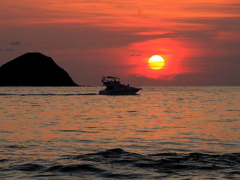 81E0E6B09A347278278578818A11A950