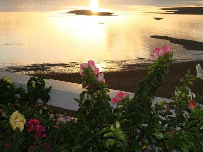 DD1DDDB3835416601F52CB2C01F8DBD1