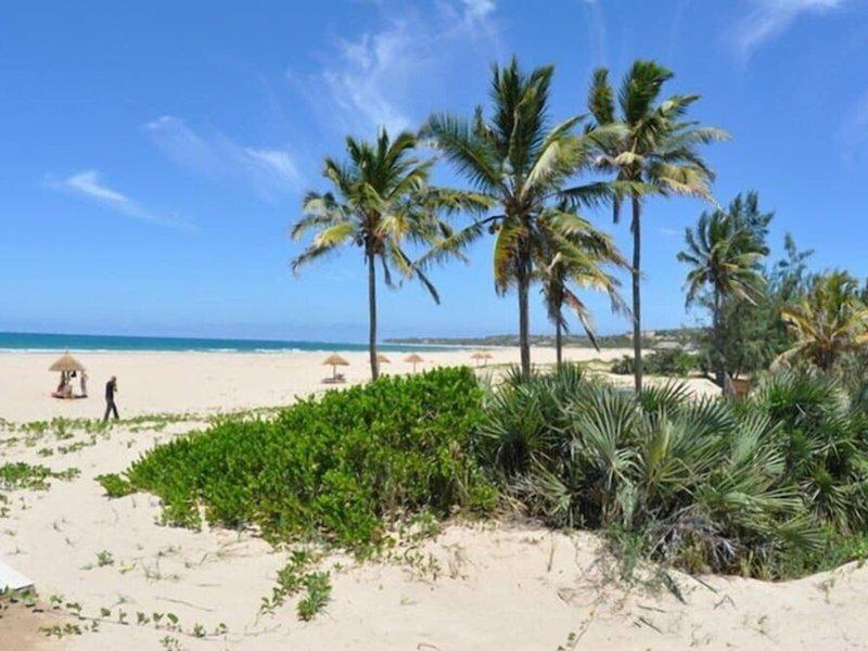 295D2C75B85C458823299960D2BAE11B