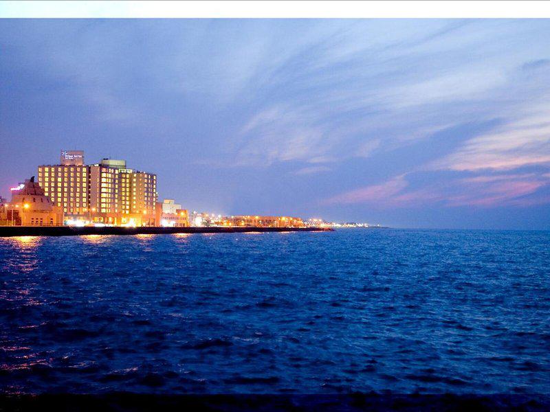 2088146B9585EE8DBEC30C7105130C19