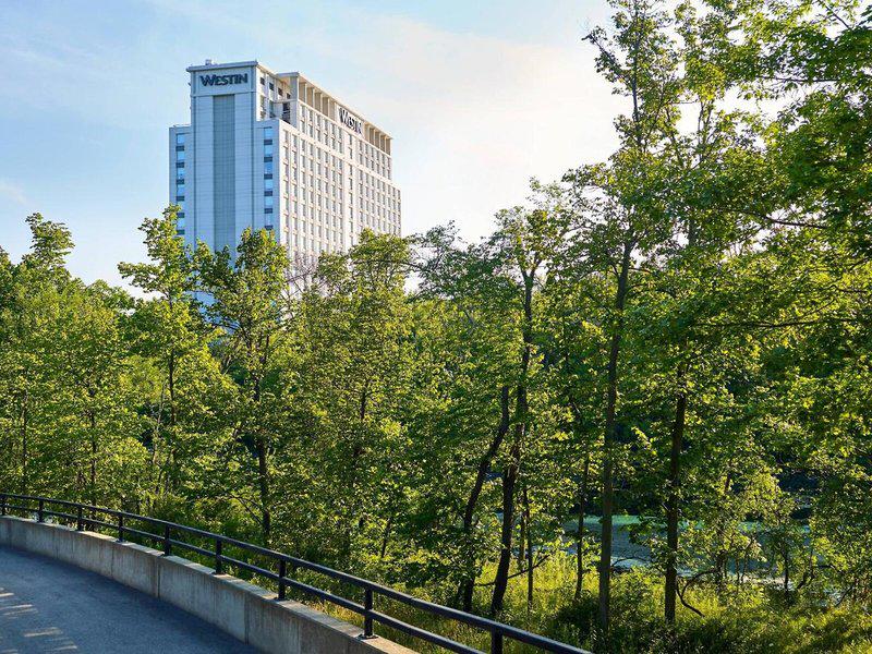 04333FA1FE3B0B2BBFE10C9027883382