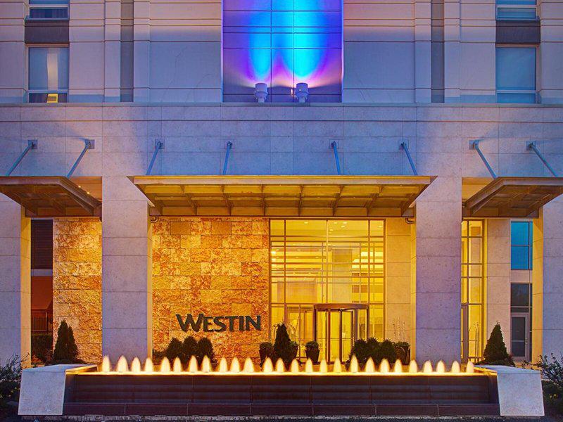 BF07BE05244E546BC64D8199B876B8E6