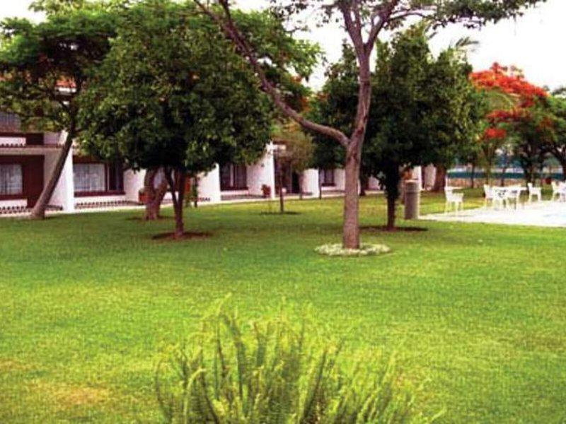 205F3F33CE55789C0BBC4A645146A455