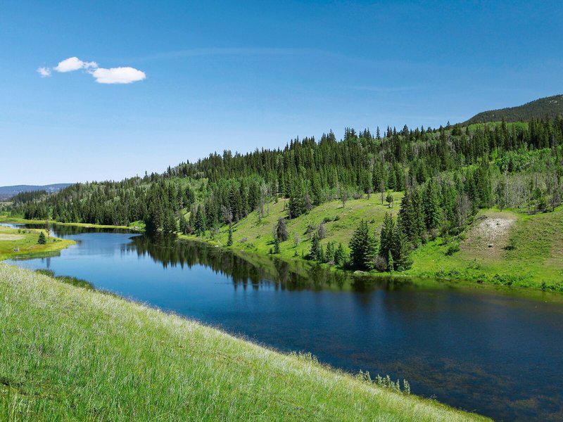 3C43F0BAF93123945E3AA74C13048B55