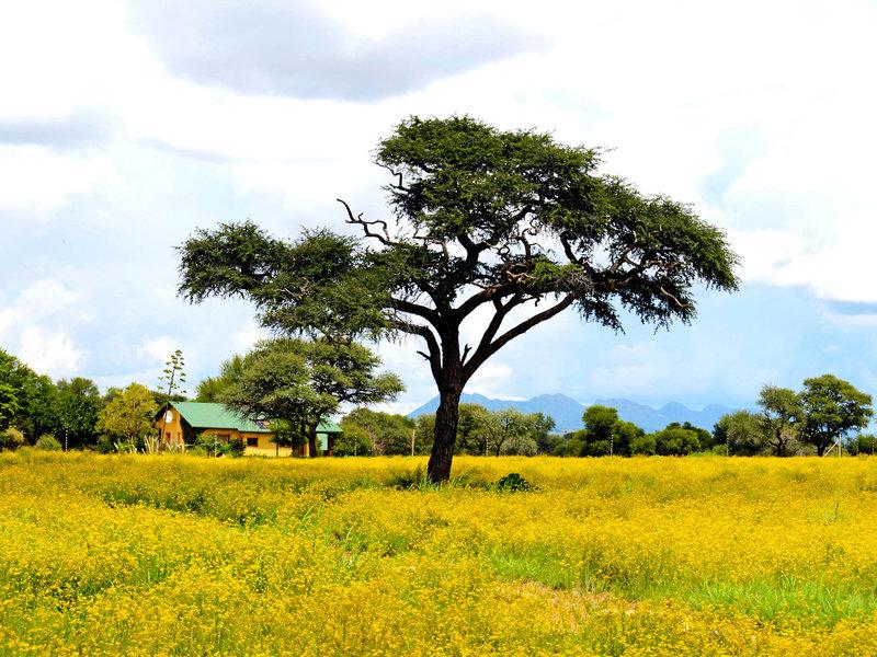 D9F4897651FEBA316F05EFED9342AF3E