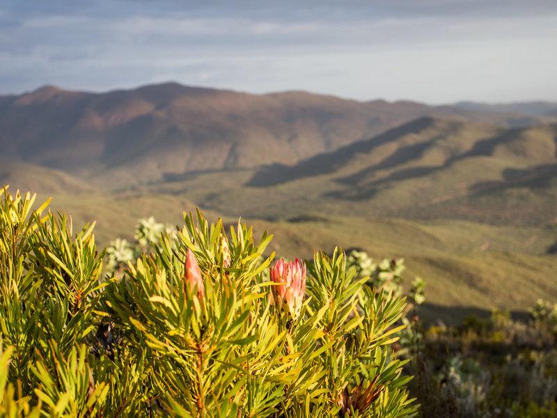 8EAC91710F71F7137E03859CB9143303