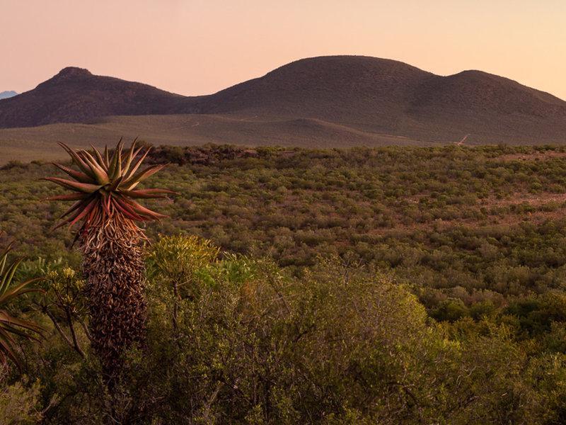 DDC31F0991981B8E004D0680DAB52440