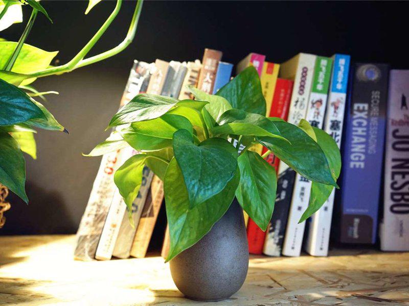 7AB961843FEBD88E18CA365E82D2D08F