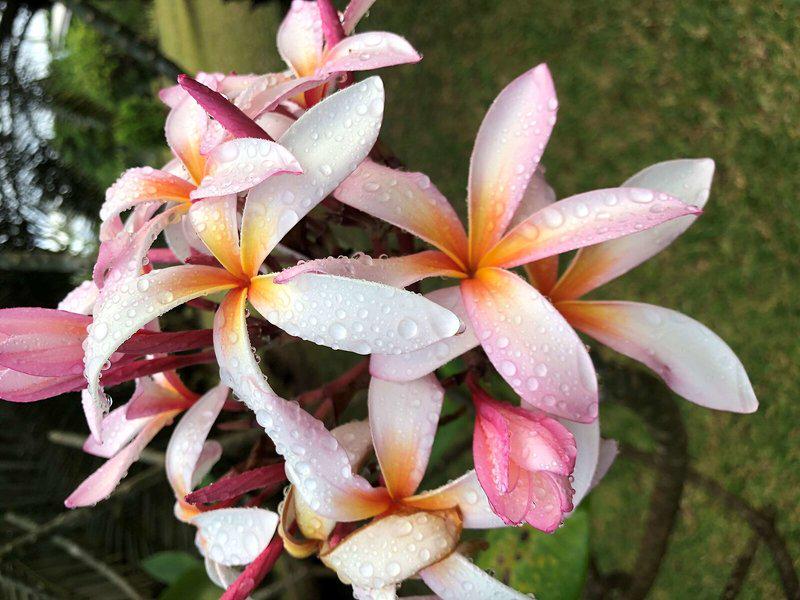 8F474903CEE958F790DD3A1F134657A1