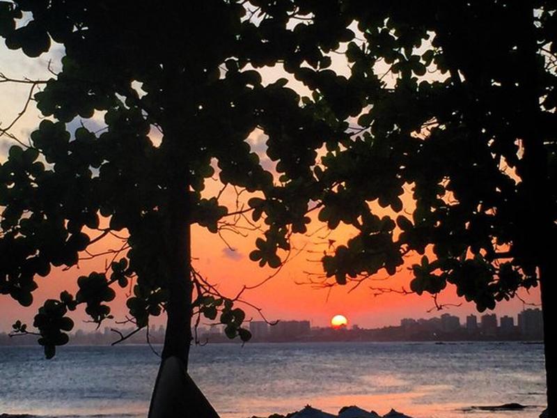 981C83A77F27D514C752269375E9D9C3