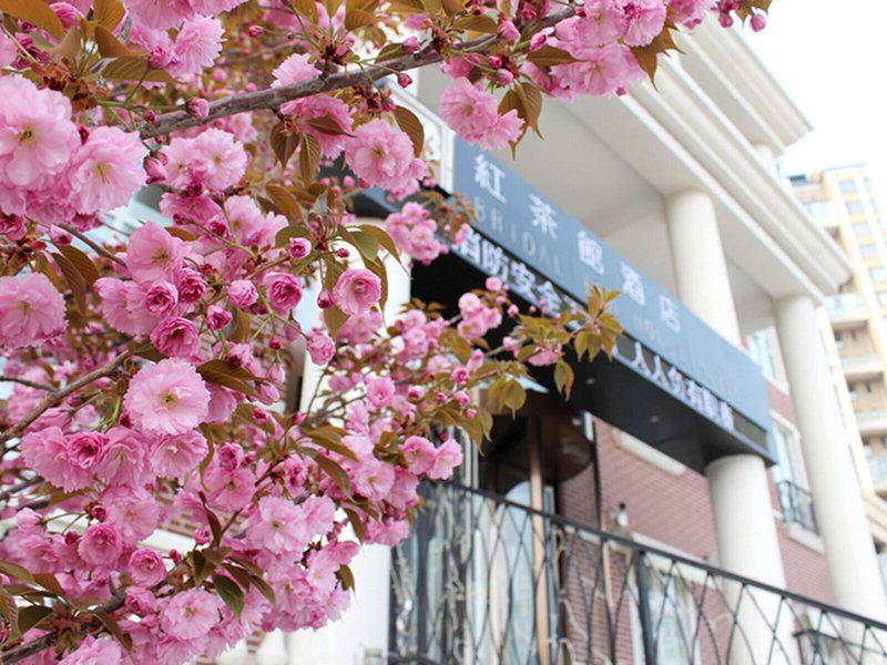 FA4D69026144CF498BA57C56825CB281