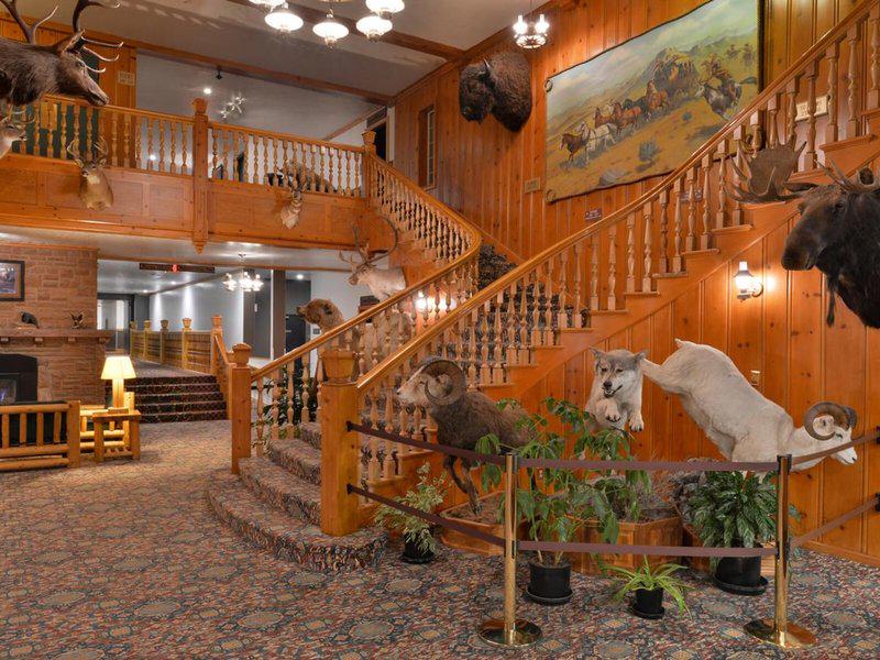 81E67D66E500AF2E6A7F0AEBB6B33B06