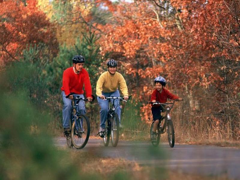 11A14C13D58EF02054AC99C59ADB2162