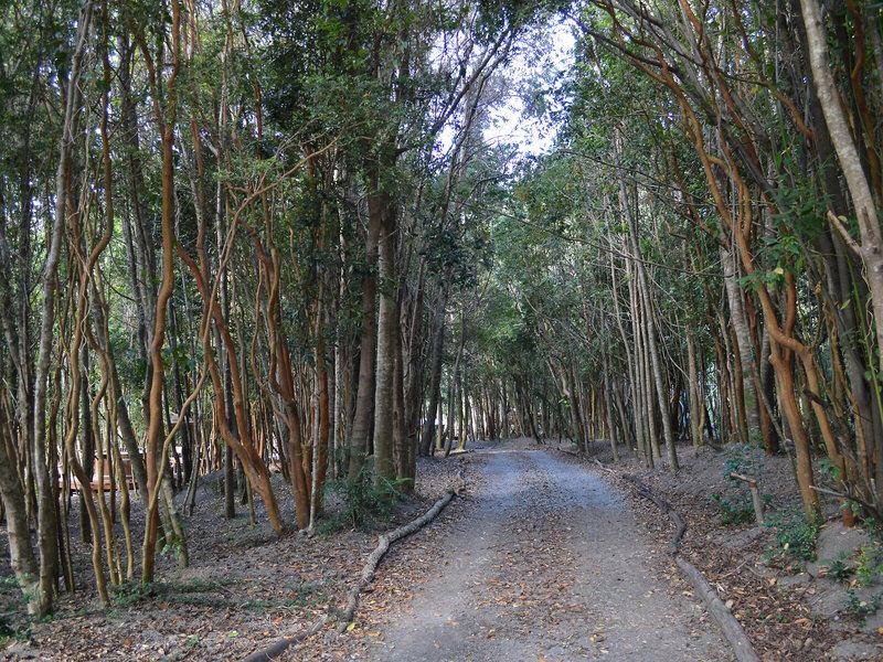 6DD82E7B7EB885BA9704C3255EBC806F