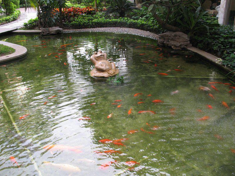 D85DA6DE913646CF7B61DEDC78D5ADF3