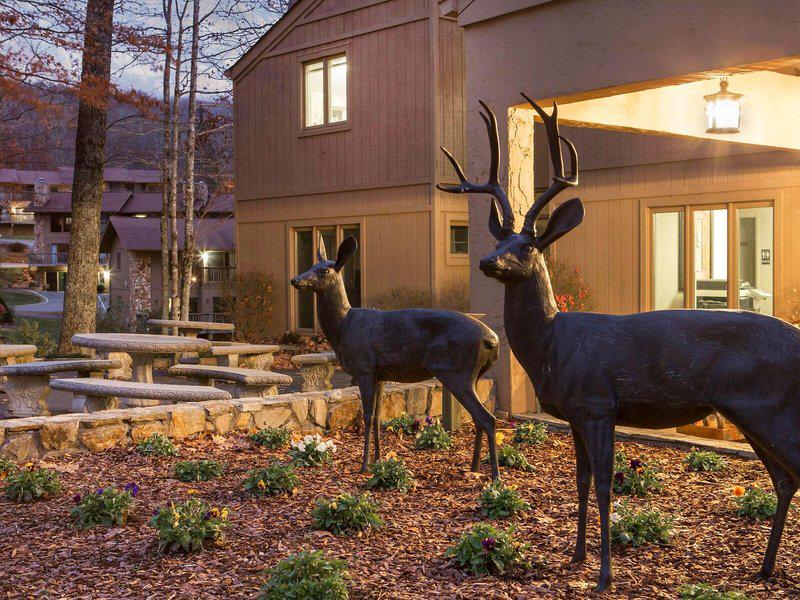 ACF6F1044057D11393C77CEE537E341F