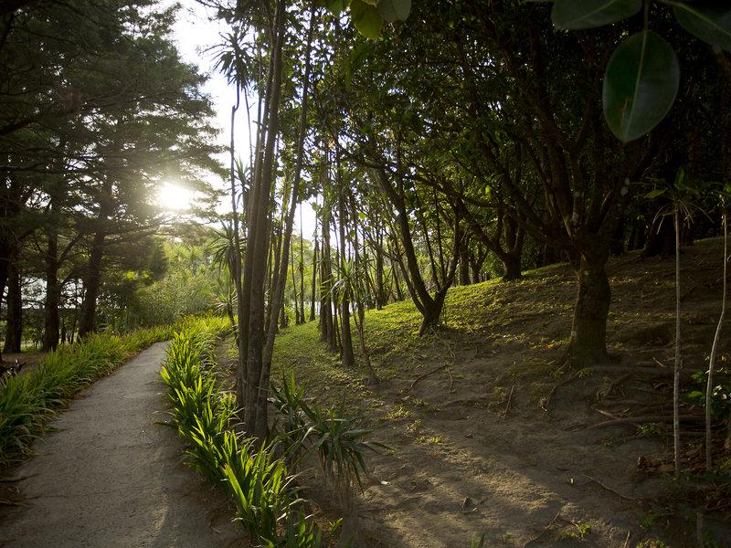 C5F02AD0A96789985762BF73D83A95BC