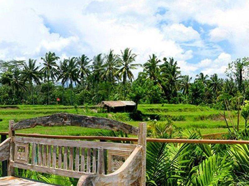 F5F2E2D95F52A3CE6629C7D95A384BCF