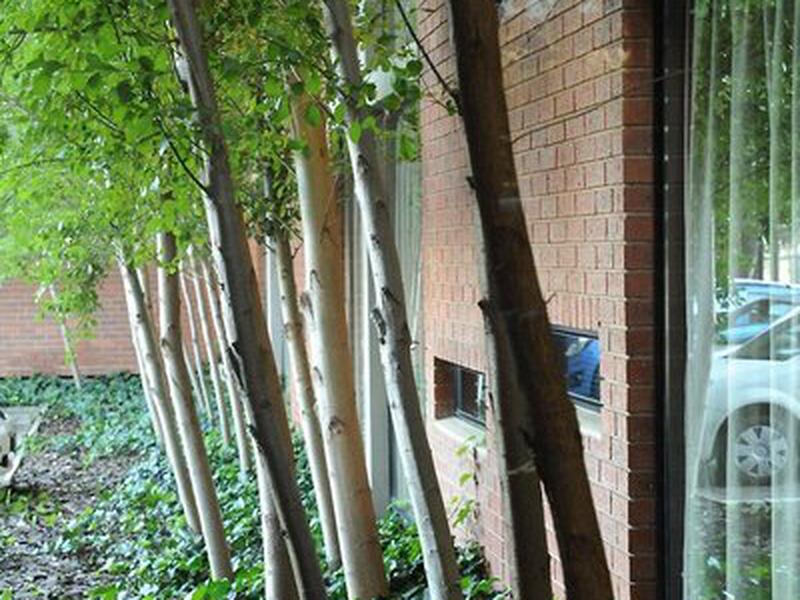 BA3D81FD0744D83563FFF625748A950A