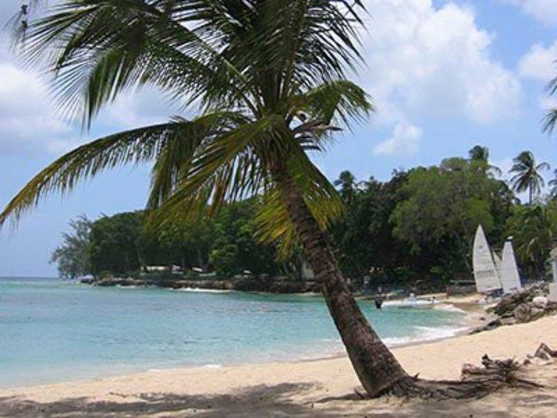 47D0DA895DDC9AFFFEAE6DA16223F94A