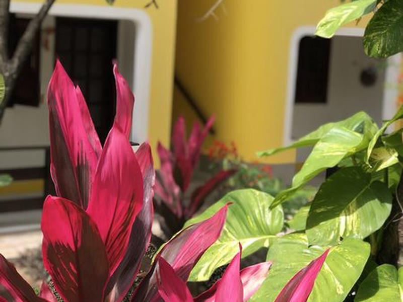 1118EE04EF95CD871F5FAC7159200720