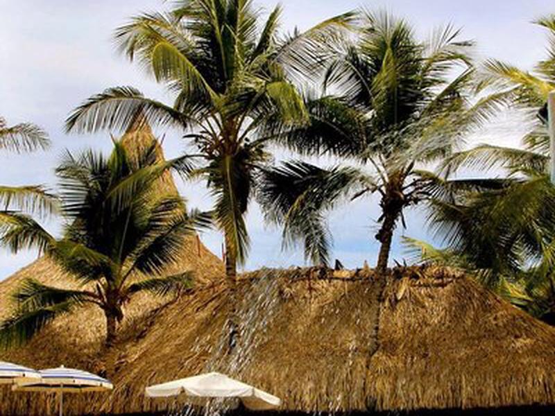 E367F9FE219B78D360BA60896D319B43