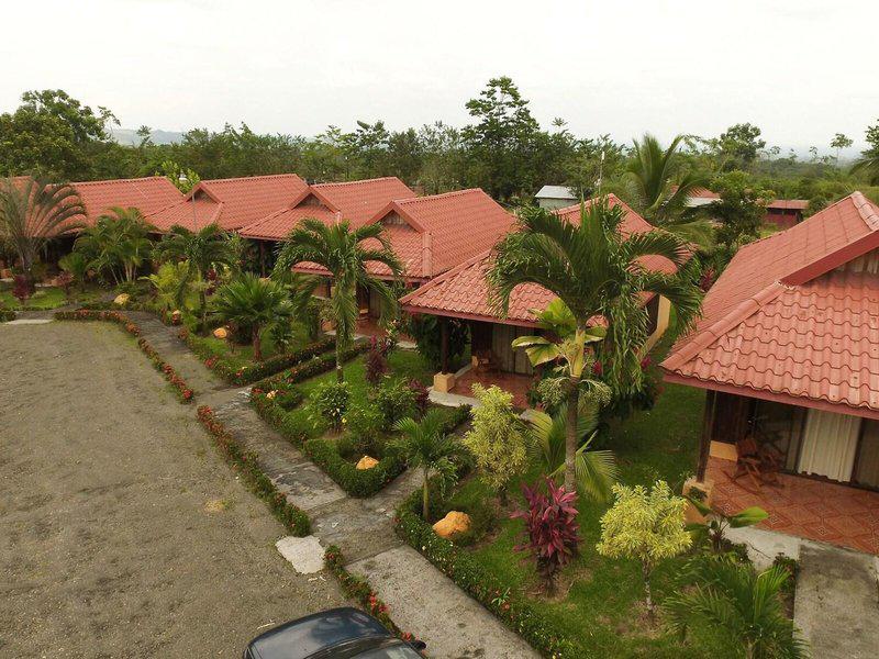 1BFEB41F5AF25D3359CC3E7BA481E1B3