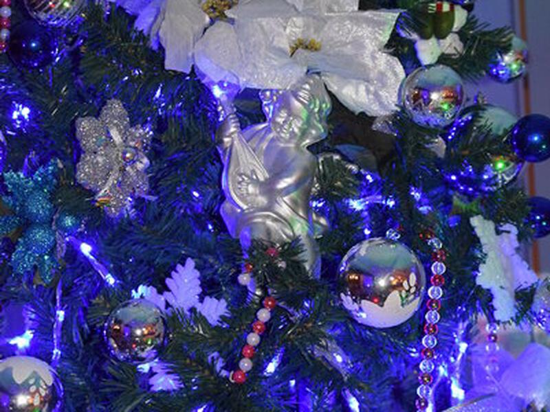 819E8E2F098B96F2FB4B3449526146C1