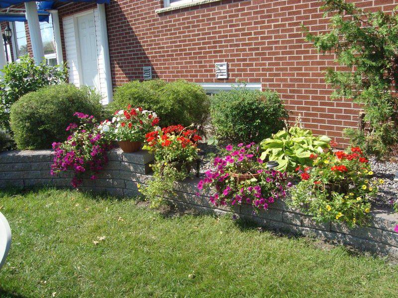 B8A919E1FB930ED62CBA39664ED07D0D