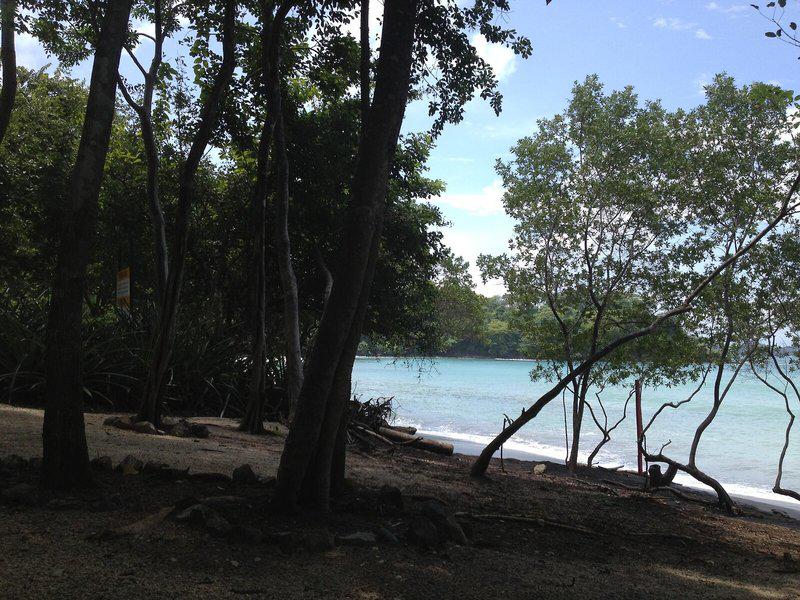 D4EF5A8C6C84AA06EF788EB49FE6D336