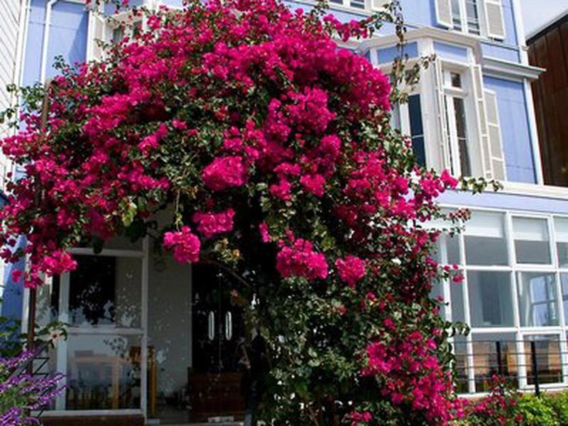 8850C502396246105B8468437420799E