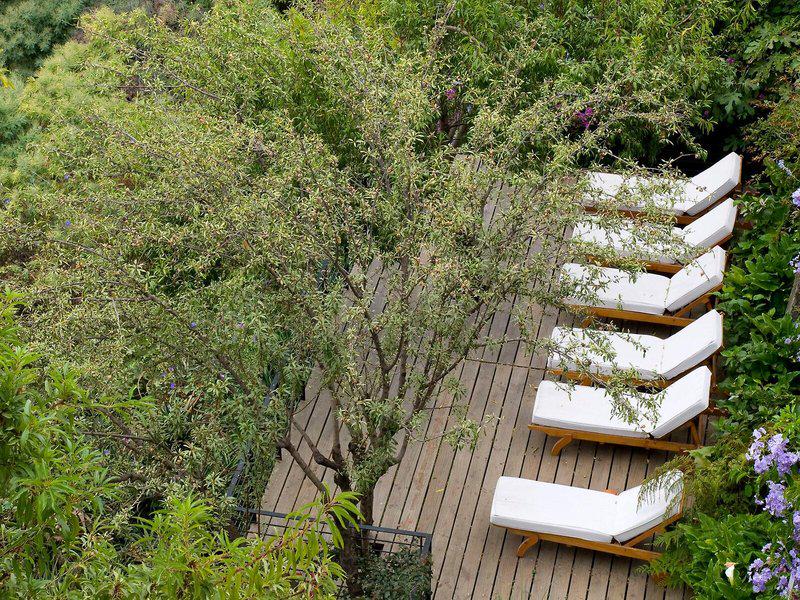 09AE11BF999421A3C284B2CD851C758B