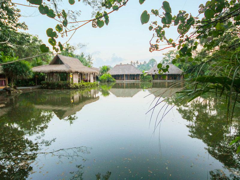 A2E07C0E9358D55E4F6DD1EE1A6E6A65