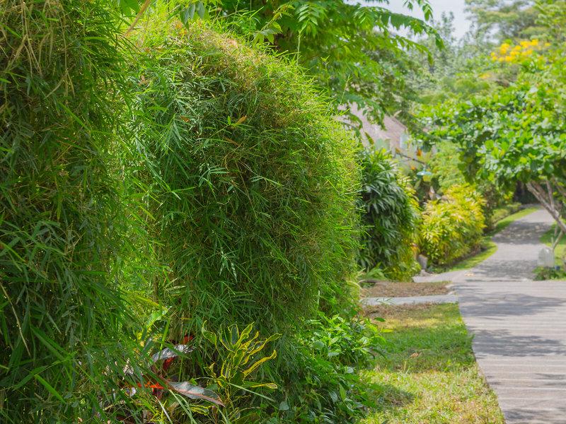 1E32BC8E1A6BCA22BE07C1393BEE15E9