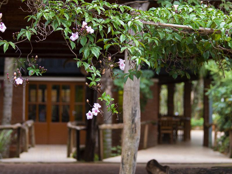 C924EC8C9D53E6AA6E8C56113744F5B9