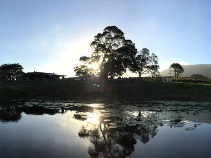 0E782F95D7635E4CE906846DD71F24AB