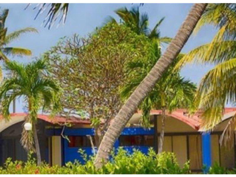 CCA0CC43A5C9694C3707CE8528725157