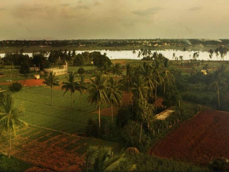 15975207506536F3EE31915C1285DA7B