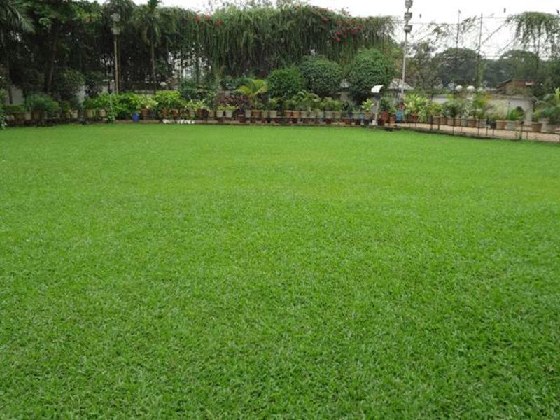 283B4957D650EA7E8CBB1C0D1D5C9A81