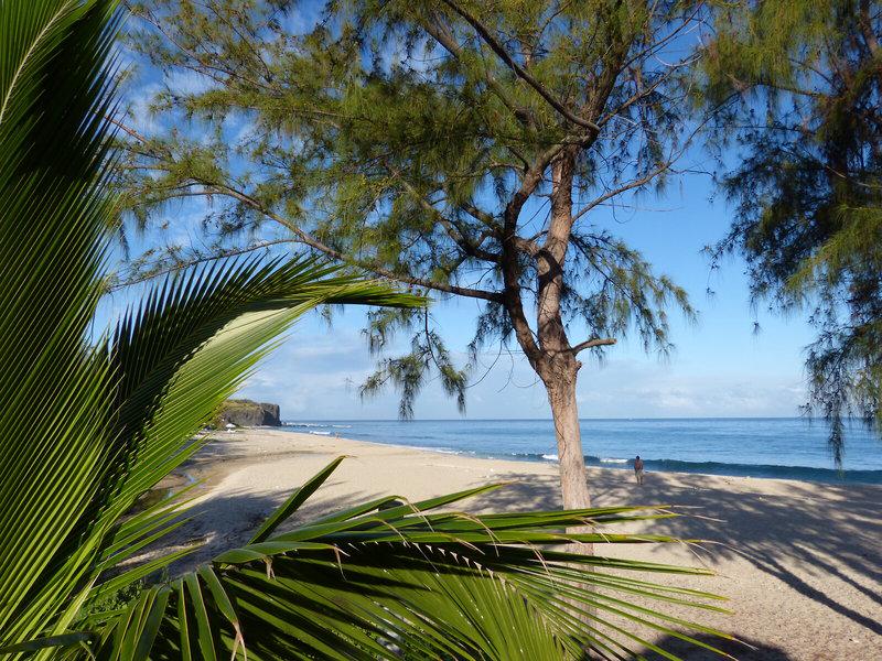 B8F3D75ED86EA6BDA32253CDE280C4A2