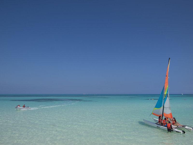 1D3FD8C36E3D027EDB782A8D4B20ACAE