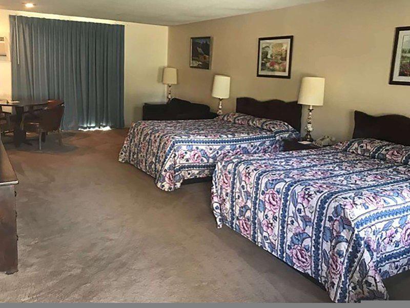 000C08CA7B6EA37573FC63FA2B537104