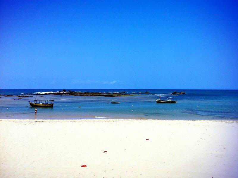 51B4E82A7FF70B989E4F67E0790DF549