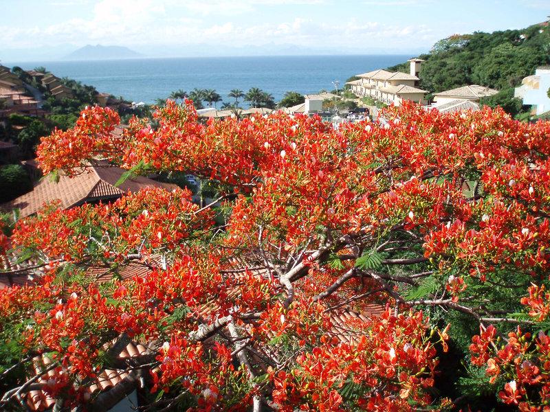 E6B691AD521006B43985AB64D9352EFD